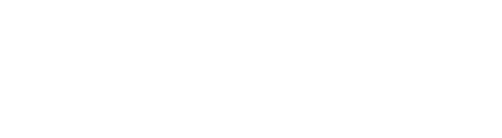 SpiderRep